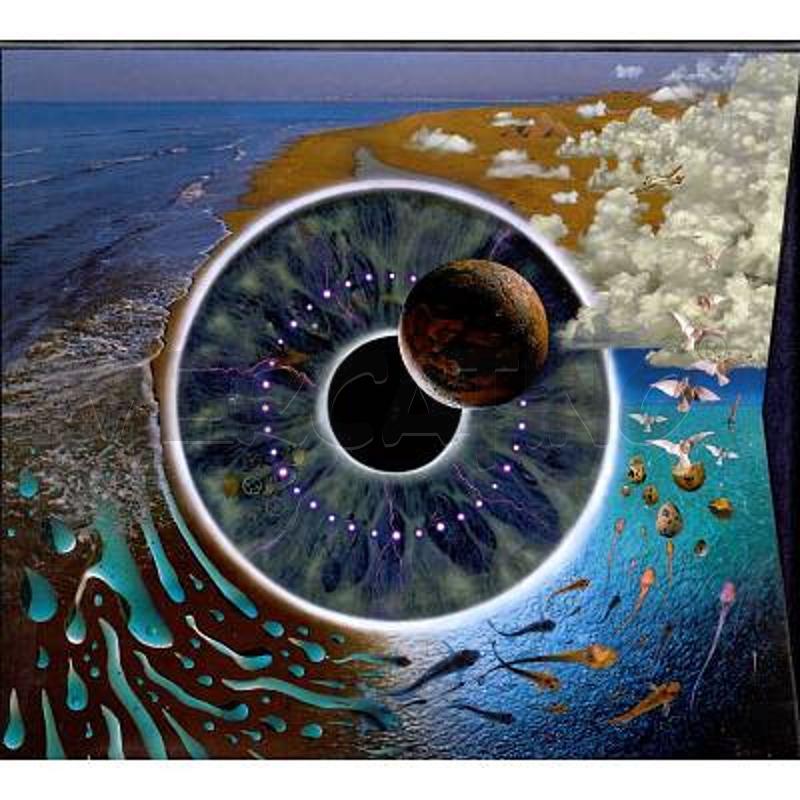 PINK FLOYD - PULSE | Mercatino dell'Usato San  benedetto del tronto 1