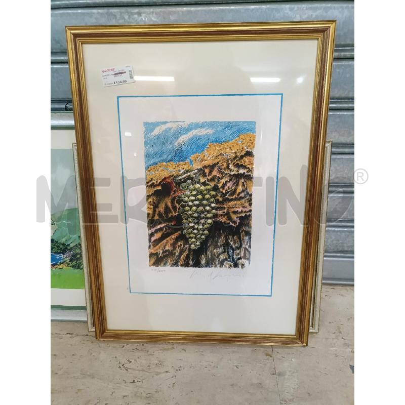 SERIGRAFIA MARIO LUPO UVA | Mercatino dell'Usato San  benedetto del tronto 1