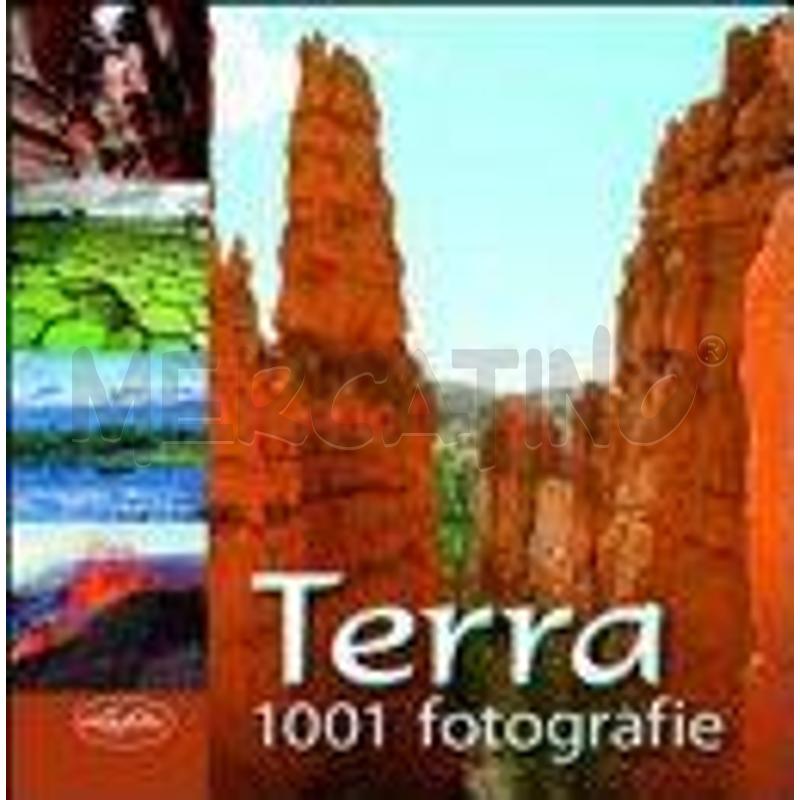 TERRA | Mercatino dell'Usato San  benedetto del tronto 1