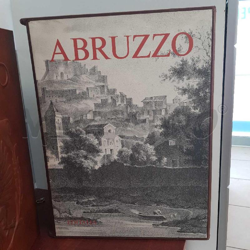 ABRUZZO ARRIGO PECCHIOLI EDIZ.1994 | Mercatino dell'Usato L'aquila - loc. vetoio 3