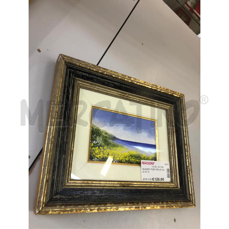 QUADRO FIORI FROJO UGO 10*15 | Mercatino dell'Usato Avellino 2