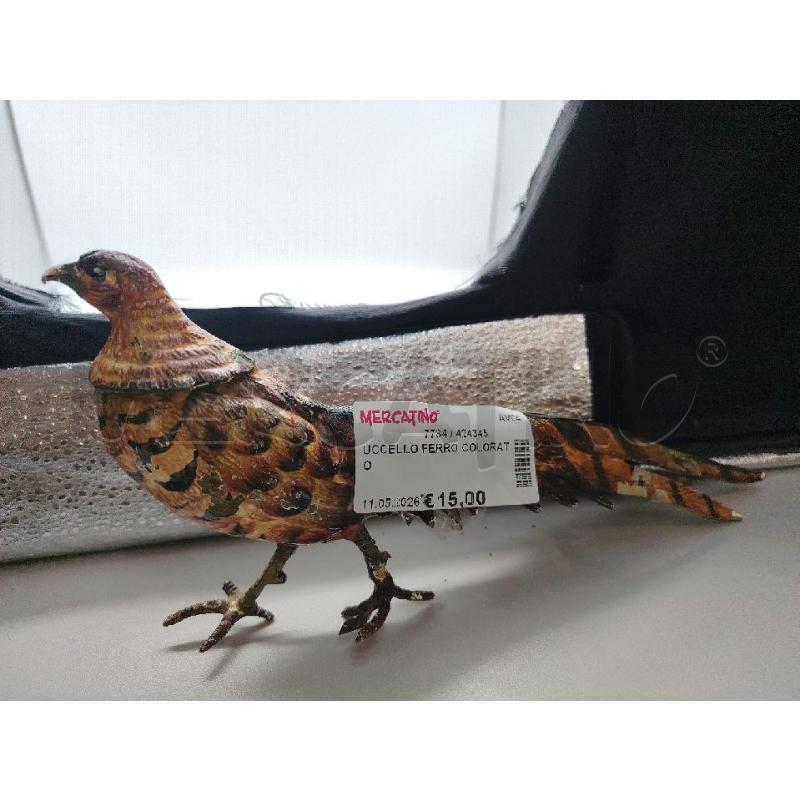 UCCELLO FERRO COLORATO  | Mercatino dell'Usato Avellino 1