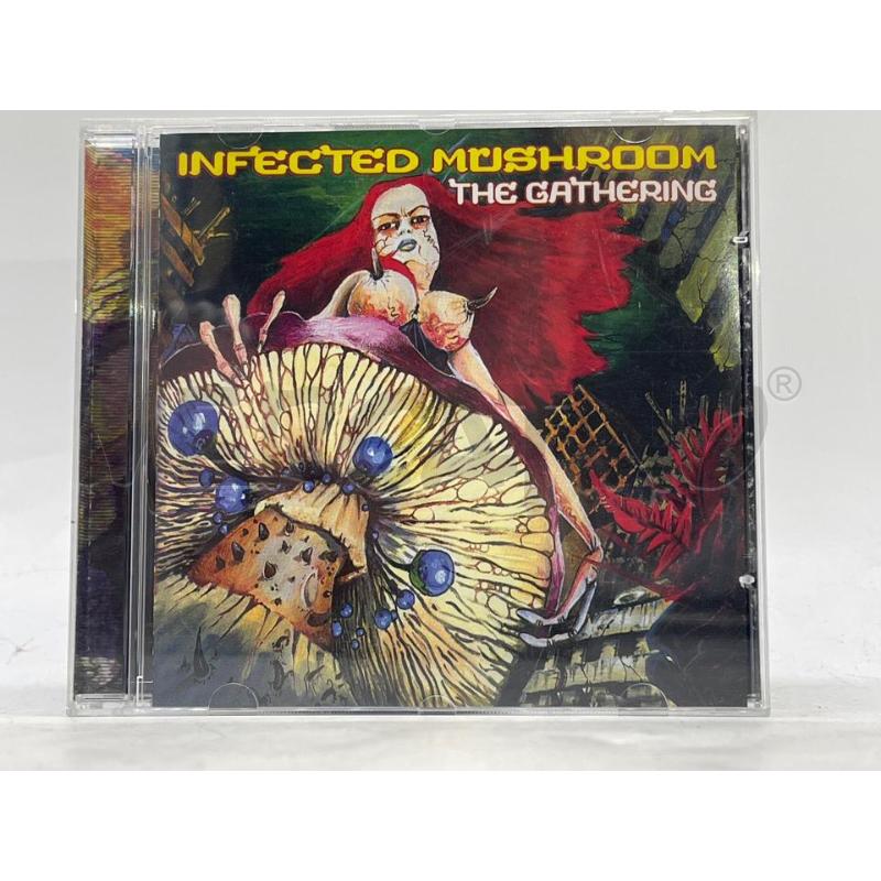 INFECTED MUSHROOM THE GATHERING | Mercatino dell'Usato Sandigliano 1
