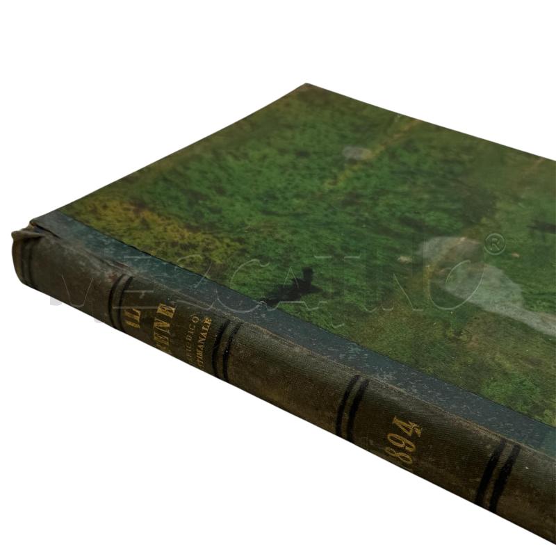 L. IL BENE PERIODICO SETTIMANALE 1894 | Mercatino dell'Usato Sandigliano 5