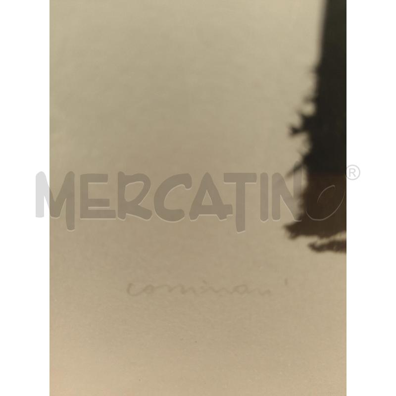 LITOGRAFIA RITRATTO FEMMINILE BRUNO CASSINARI | Mercatino dell'Usato Sandigliano 3