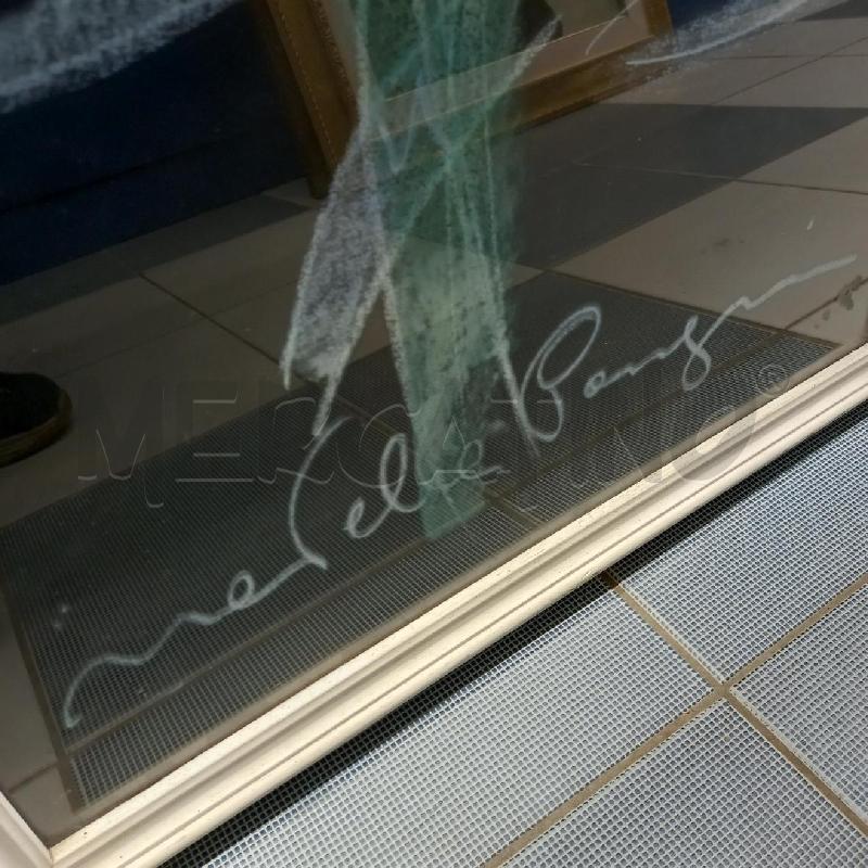 QUADRO FIORI PASTELLO NOVELLA PARIGINI | Mercatino dell'Usato Sandigliano 3