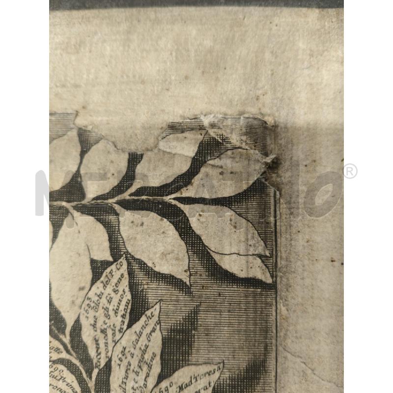 QUADRO INCISIONE LEOPOLDO I FINE SETTECENTO | Mercatino dell'Usato Sandigliano 4