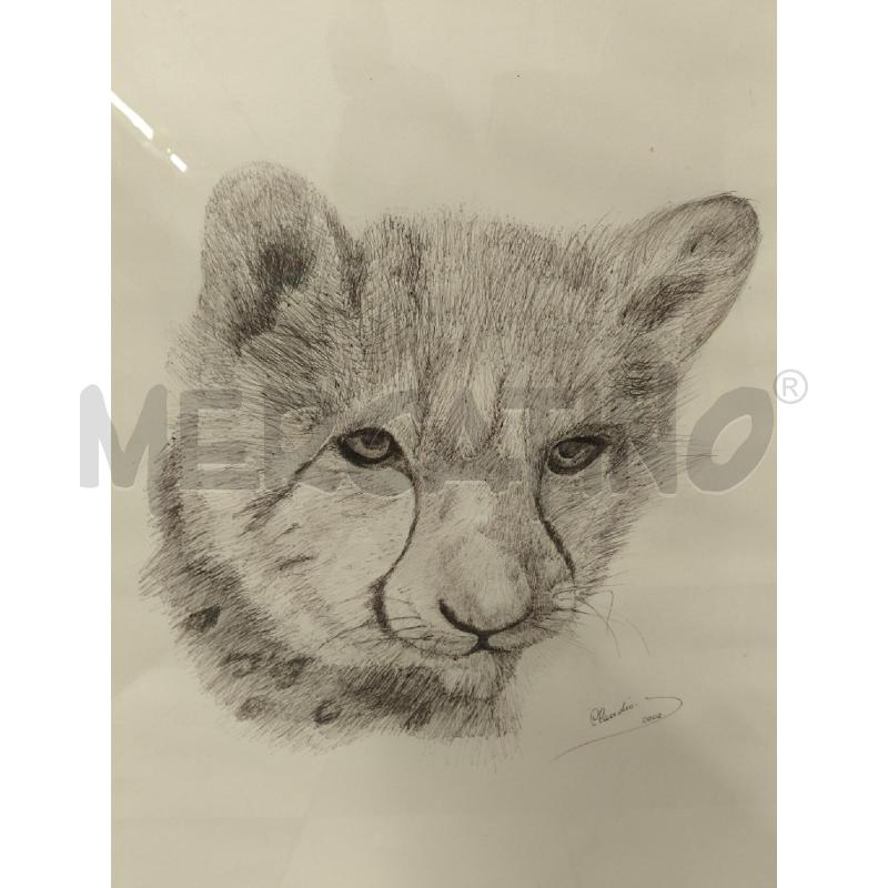 QUADRO LEOPARDO BIRO FIRMATO | Mercatino dell'Usato Sandigliano 3