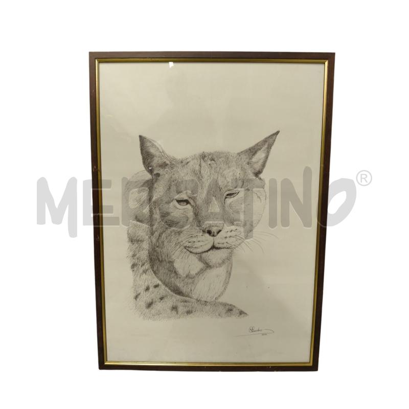 QUADRO LINCE BIRO FIRMATO | Mercatino dell'Usato Sandigliano 1