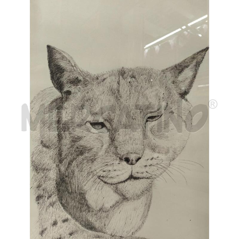 QUADRO LINCE BIRO FIRMATO | Mercatino dell'Usato Sandigliano 3