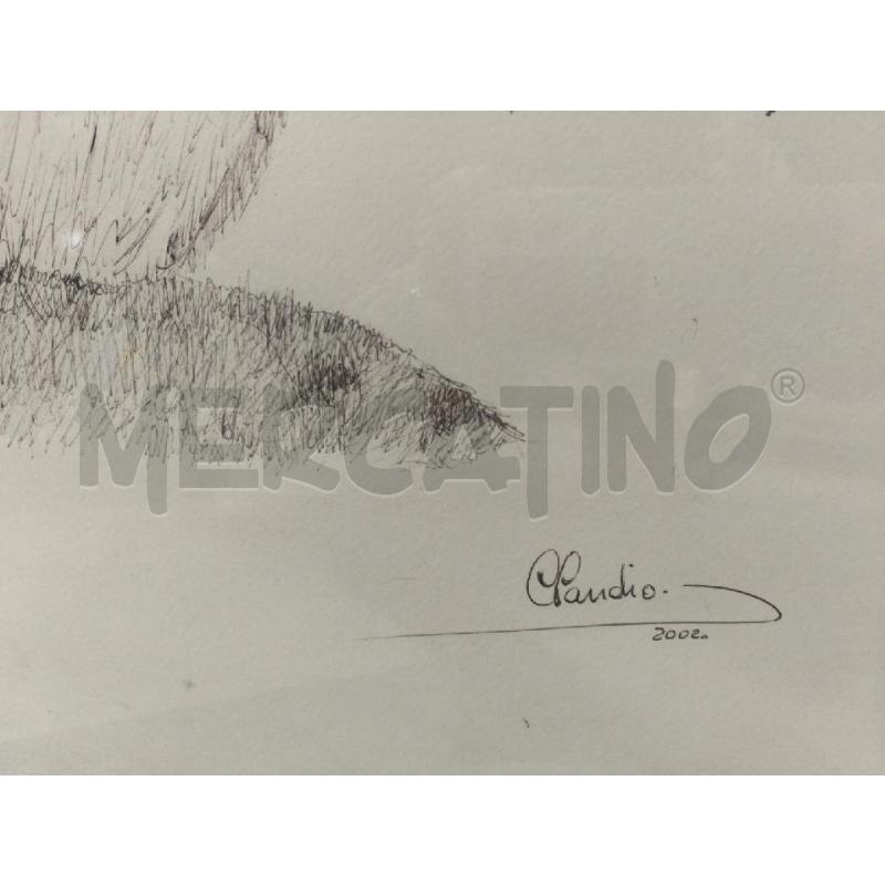QUADRO LINCE BIRO FIRMATO | Mercatino dell'Usato Sandigliano 4