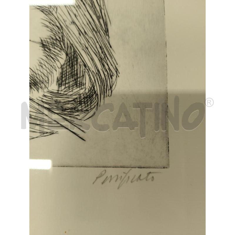 QUADRO PROVA D'ARTISTA DOMENICO PURIFICATO | Mercatino dell'Usato Sandigliano 3