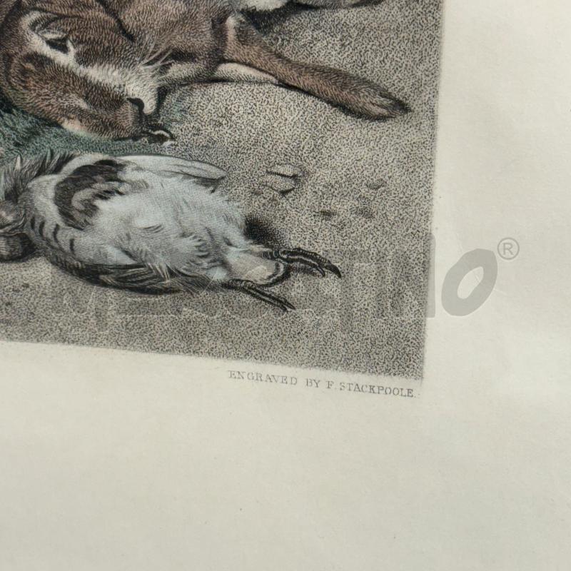 QUADRO STAMPA THE ENGLISH GAMEKEEPER | Mercatino dell'Usato Sandigliano 2