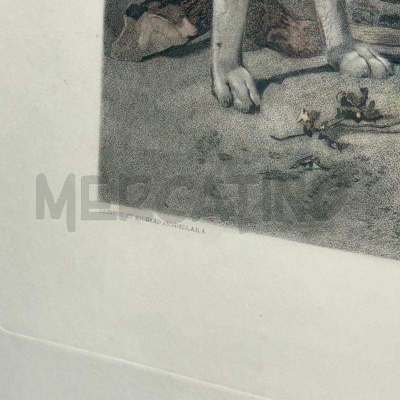 QUADRO STAMPA THE ENGLISH GAMEKEEPER | Mercatino dell'Usato Sandigliano 3
