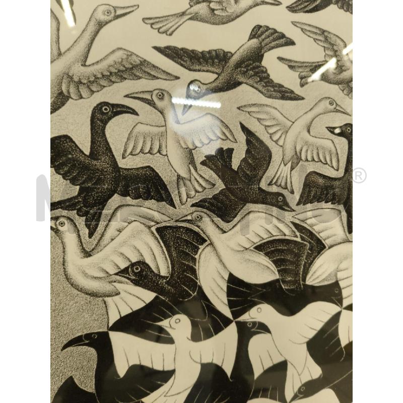 QUADRO STAMPA UCCELLI ESCHER 1976 | Mercatino dell'Usato Sandigliano 4