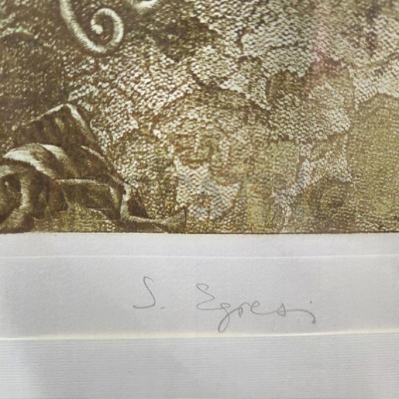 QUADRO STAMPA ZSUZSA EGRESI  | Mercatino dell'Usato Sandigliano 3