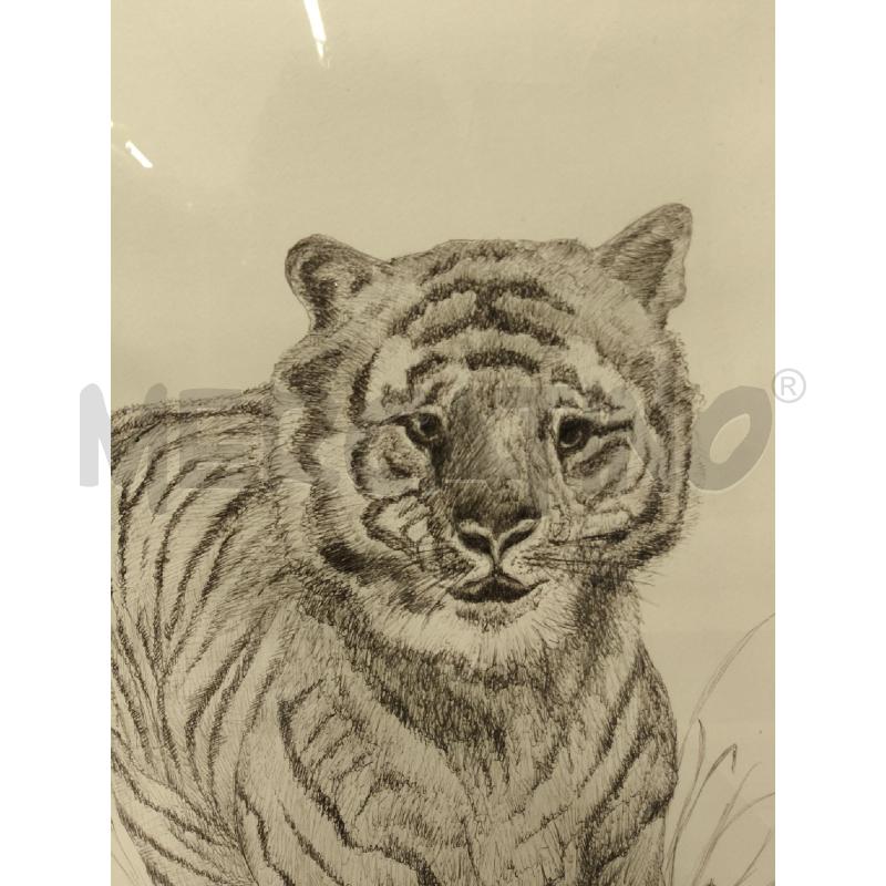 QUADRO TIGRE BIRO FIRMATO | Mercatino dell'Usato Sandigliano 3