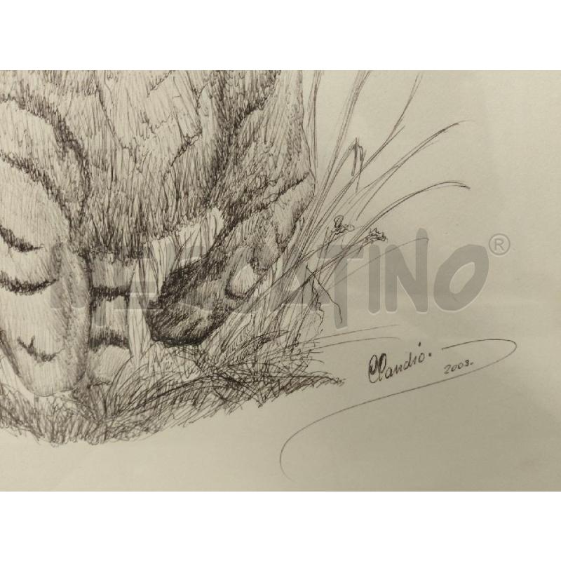 QUADRO TIGRE BIRO FIRMATO | Mercatino dell'Usato Sandigliano 4