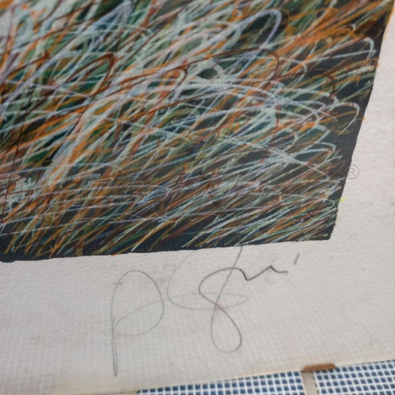 SERIGRAFIA FIORI FRANCO AZZINARI | Mercatino dell'Usato Sandigliano 5