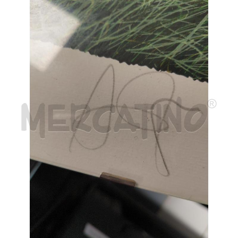 SERIGRAFIA GINESTRE FRANCO AZZINARI | Mercatino dell'Usato Sandigliano 3