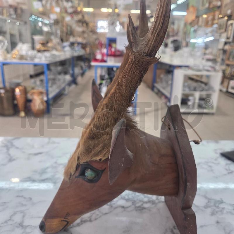APPENDINO TESTA LEGNO CERVO CORNA  | Mercatino dell'Usato Benevento 3