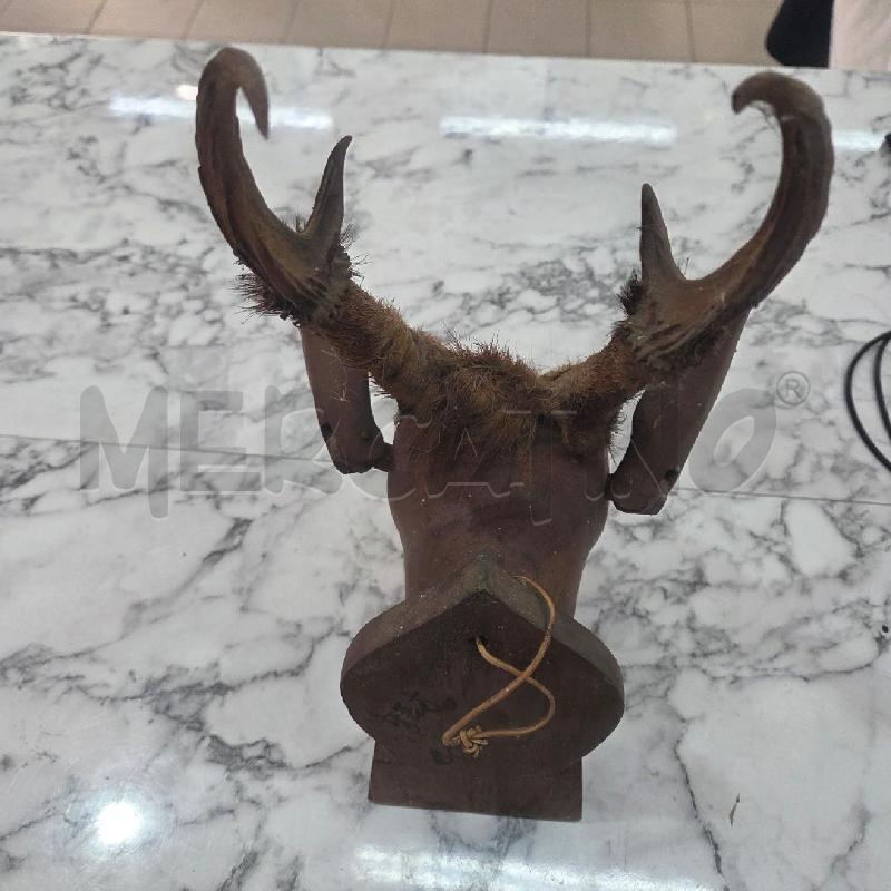 APPENDINO TESTA LEGNO CERVO CORNA  | Mercatino dell'Usato Benevento 4