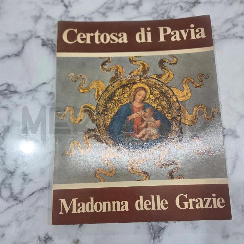 CERTOSA DI PAVIA MADONNA DELLE GRAZIE | Mercatino dell'Usato Benevento 1