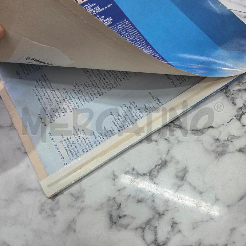 CIELI AZZURRI PUPO | Mercatino dell'Usato Benevento 5