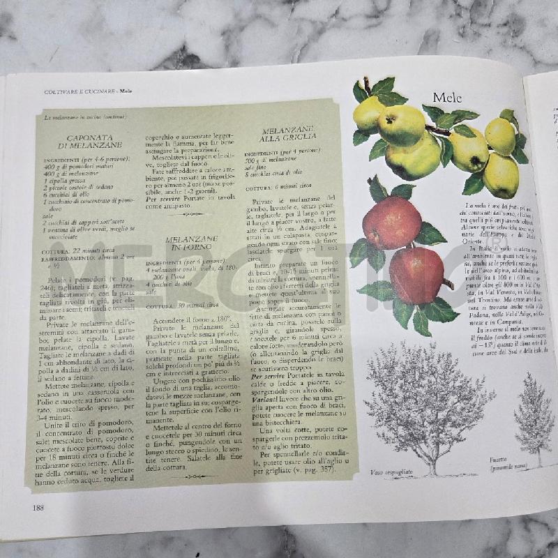IL BUON SAPORE DELL'ORTO | Mercatino dell'Usato Benevento 3