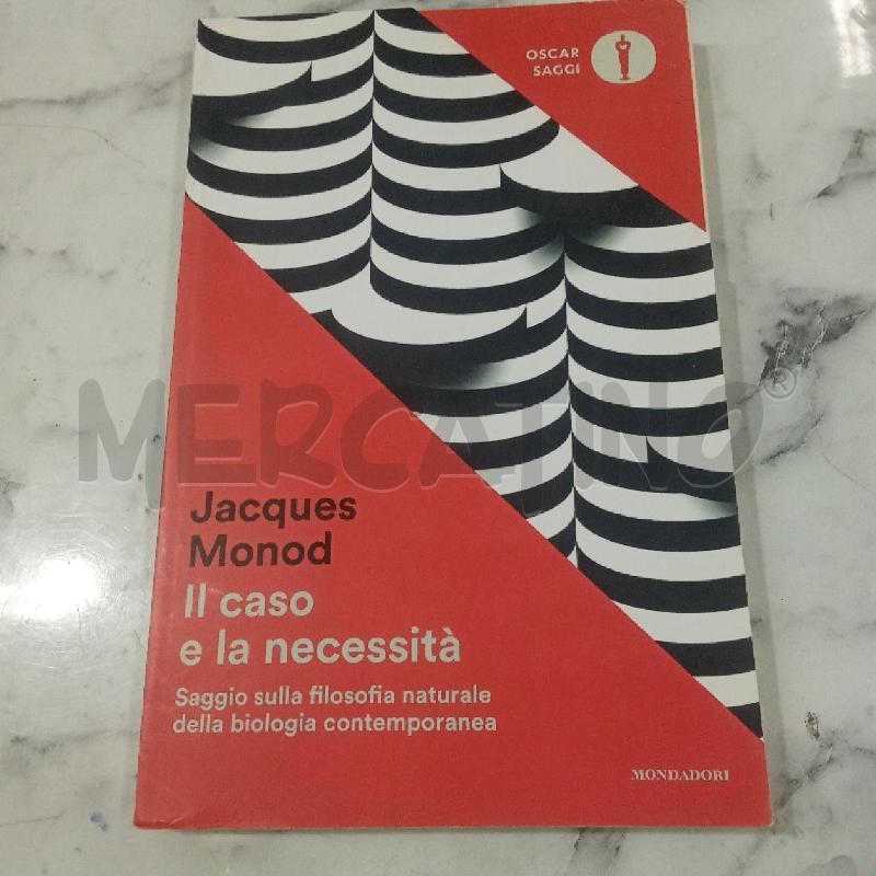 IL CASO E LA NECESSITÀ | Mercatino dell'Usato Benevento 1