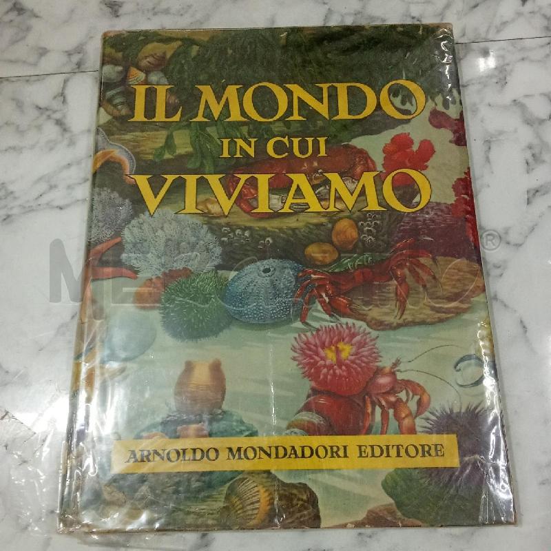 IL MONDO IN CUI VIVIAMO | Mercatino dell'Usato Benevento 1