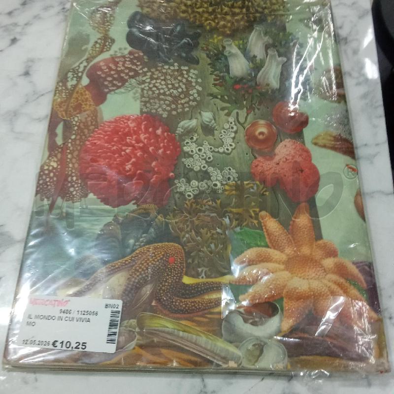 IL MONDO IN CUI VIVIAMO | Mercatino dell'Usato Benevento 5