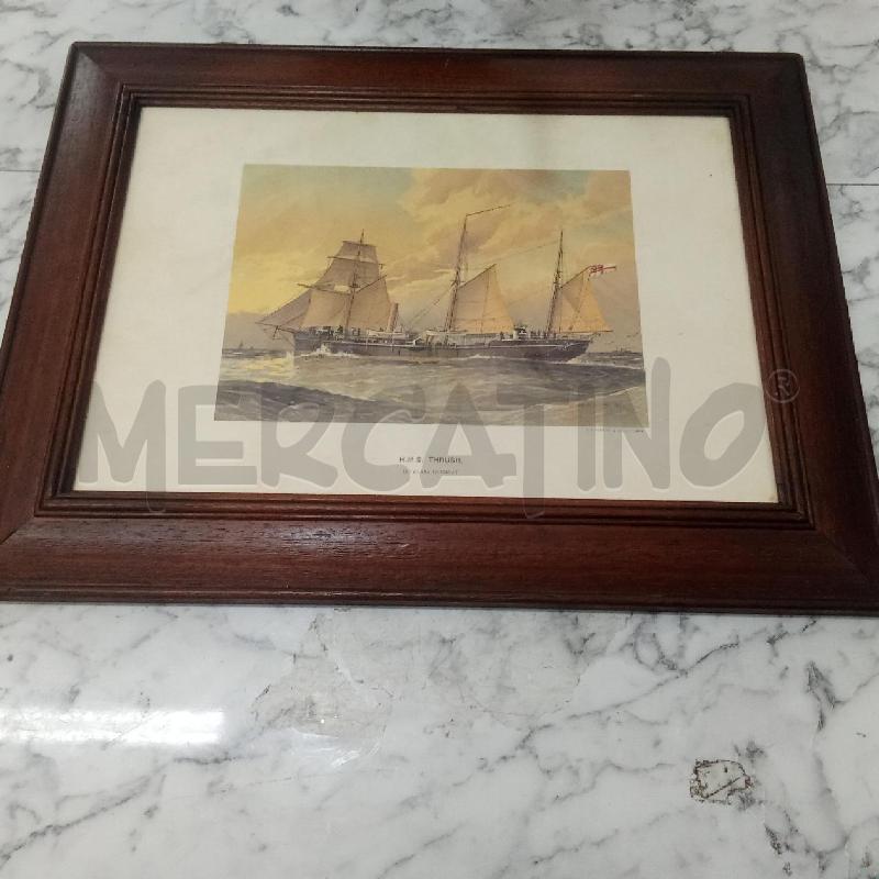 QUADRO C MARRONE VELIERO THRUSH | Mercatino dell'Usato Benevento 1
