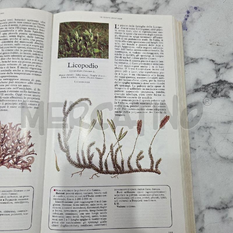 SEGRETI E VIRTÙ DELLE PIANTE MEDICINALI | Mercatino dell'Usato Benevento 2