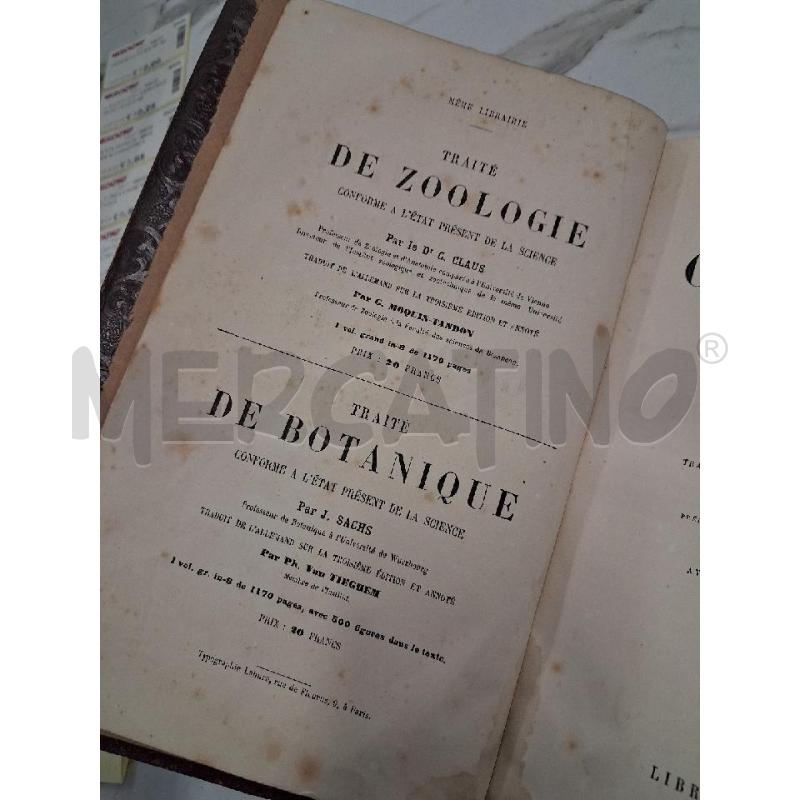 CREDNER GEOLOGIE ET PALEONTOLOGIE 1879  | Mercatino dell'Usato San giorgio del sannio 3