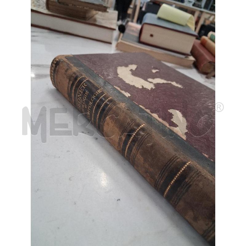 CREDNER GEOLOGIE ET PALEONTOLOGIE 1879  | Mercatino dell'Usato San giorgio del sannio 4