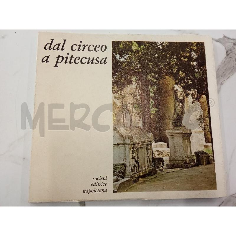 DAL CIRCEO A PITECUSA | Mercatino dell'Usato San giorgio del sannio 1
