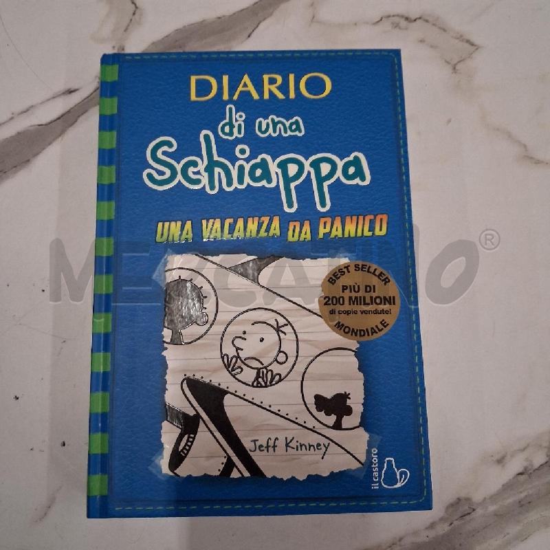 DIOARIO DEL UNA SCHIAPPA  | Mercatino dell'Usato San giorgio del sannio 1