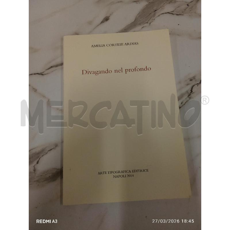 DIVAGANDO NEL PROFONDO  | Mercatino dell'Usato San giorgio del sannio 1