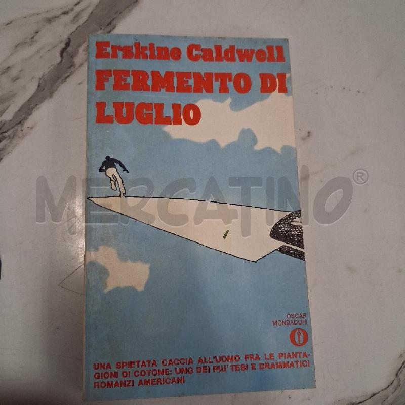 FERMENTO DI LUGLIO | Mercatino dell'Usato San giorgio del sannio 1