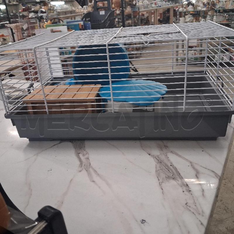GABBIA CRICETI CON ACCESSORI  | Mercatino dell'Usato San giorgio del sannio 1