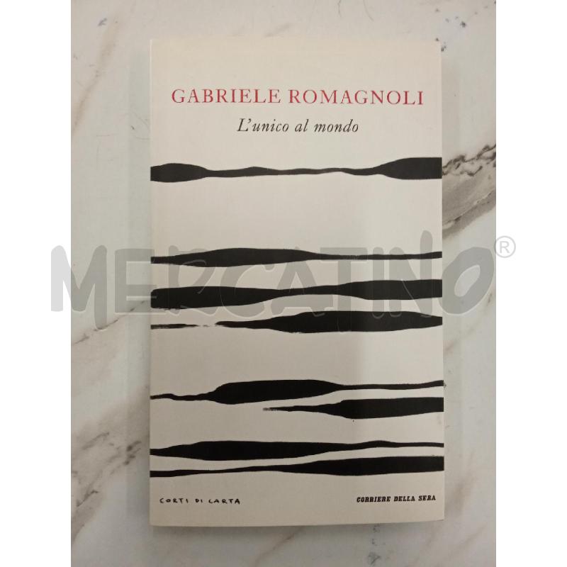 GABRIELE ROMAGNOLI L'UNICO AL MONDO  | Mercatino dell'Usato San giorgio del sannio 1