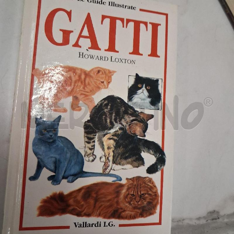 GATTI  | Mercatino dell'Usato San giorgio del sannio 1