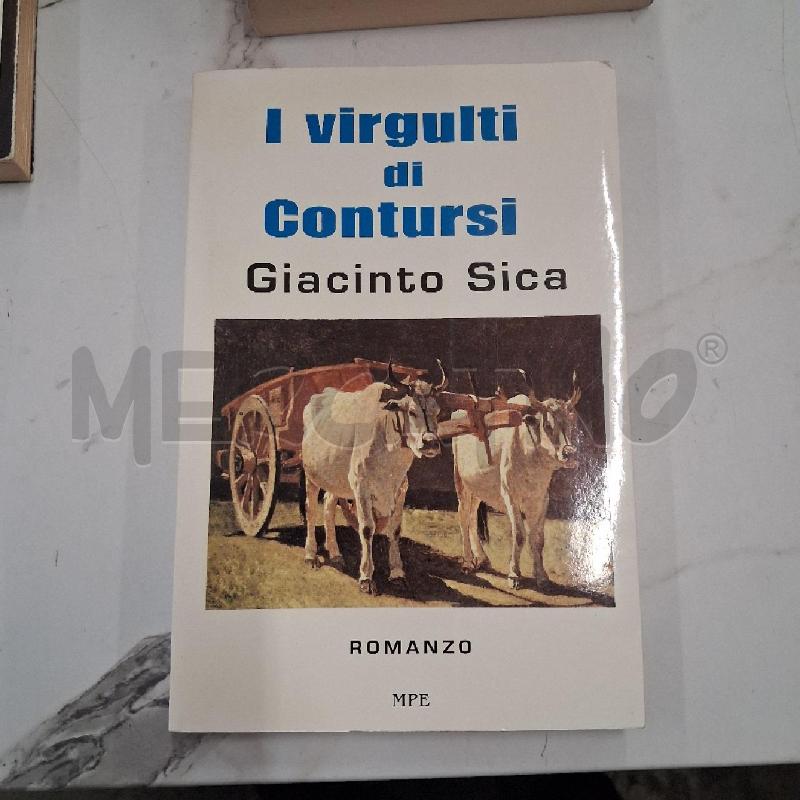 GIACINTO SICA I VIRGULTI DI CONTURSI  | Mercatino dell'Usato San giorgio del sannio 1