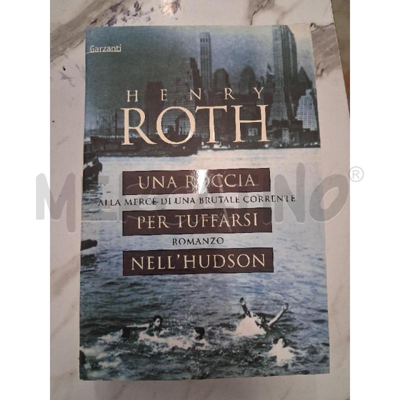 HERNY ROTH UNA ROCCIA PER TUFFARSI NEL'HUDSON | Mercatino dell'Usato San giorgio del sannio 1