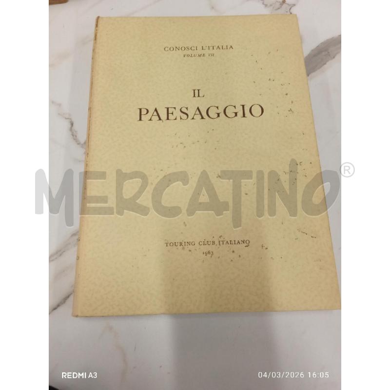 IL PAESAGGIO | Mercatino dell'Usato San giorgio del sannio 1