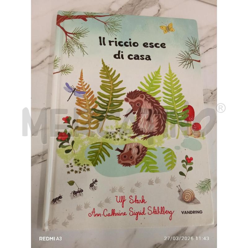 IL RICCIO CHE CRESCXE  | Mercatino dell'Usato San giorgio del sannio 1