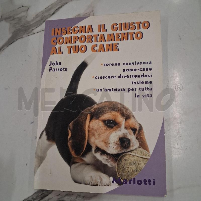 INSEGNA IL GIUSTO COMPORATMENTO AL TUO CANE  | Mercatino dell'Usato San giorgio del sannio 1