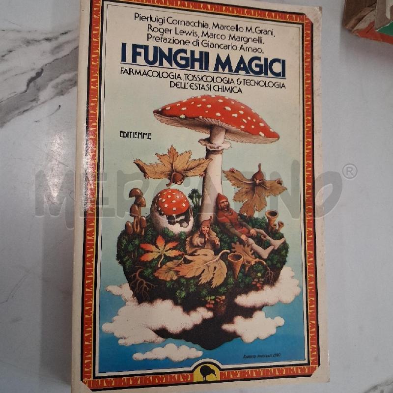 I FUNGHI MAGICI | Mercatino dell'Usato San giorgio del sannio 1