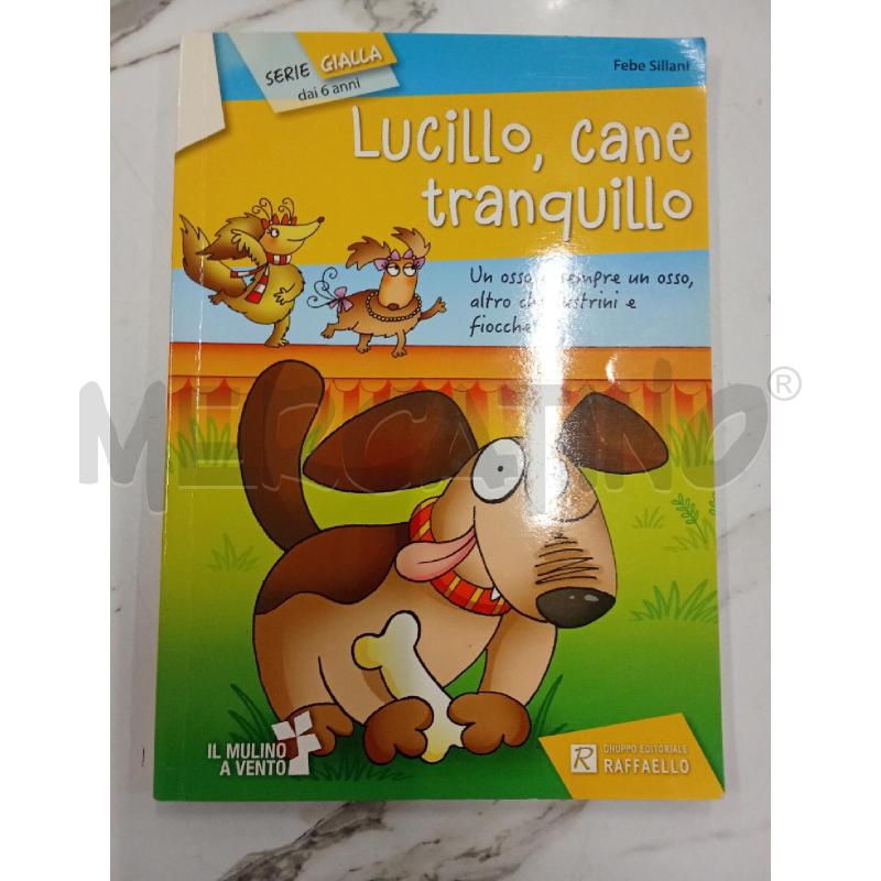LUCILLO CANE TRANQUILLO | Mercatino dell'Usato San giorgio del sannio 1